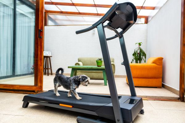 Treadmill Installation in Providence