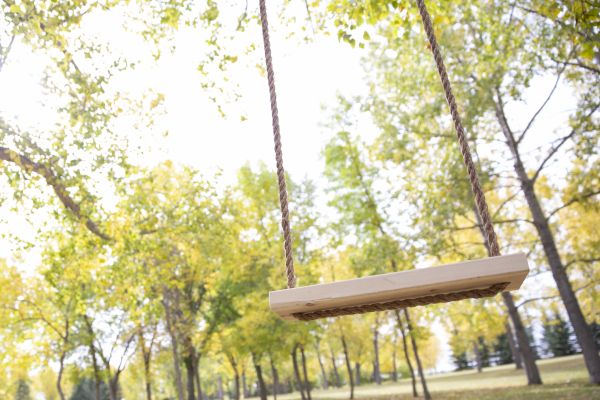 Tree Swing Installation in Providence