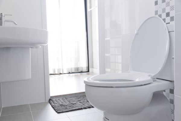 Toilet Seat Installation in Providence