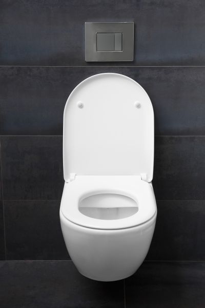 Toilet Lid Installation in Providence