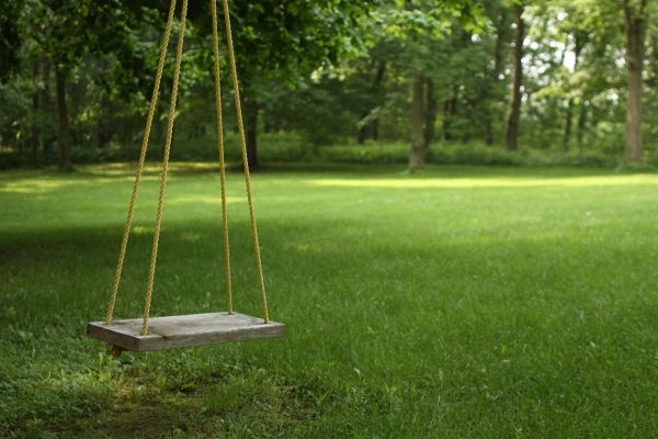 Rope Swing Installation in Providence