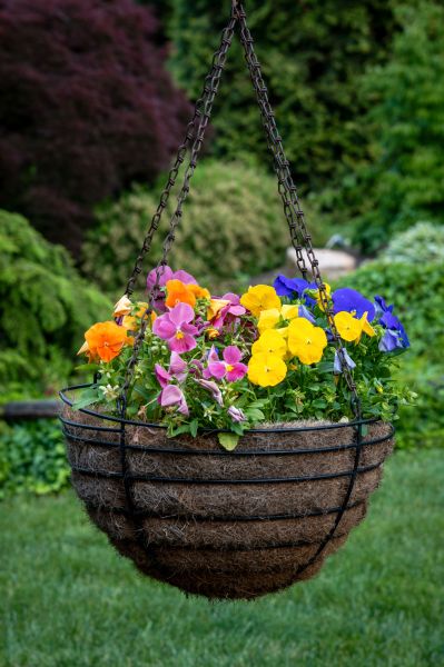Hanging Basket Installation in Providence