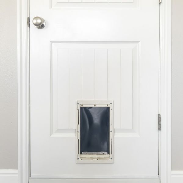 Pet Door Repair in Providence