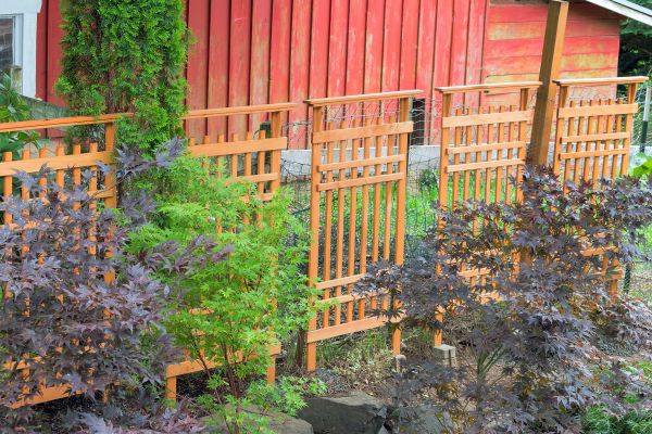 Wood Trellis Mounting in Providence