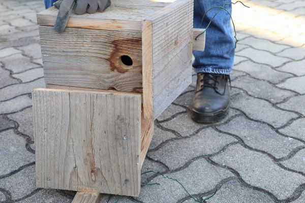 Birdhouse Mounting in Providence