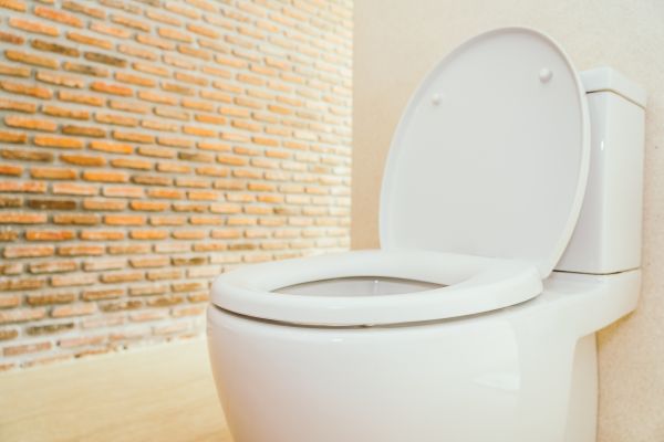 Toilet Seat Repair in Providence
